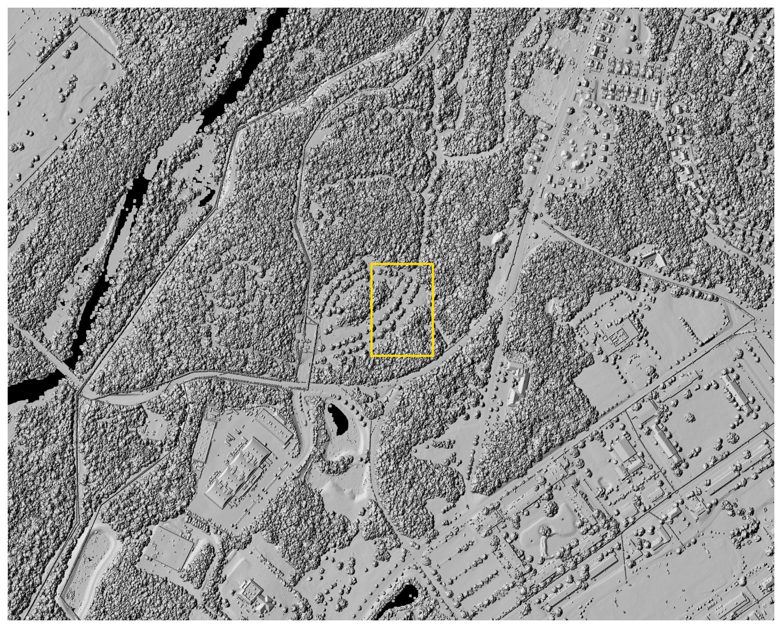 Treetop canopy surface of the same parcel